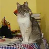 Отзыв от Альфия Егорова
